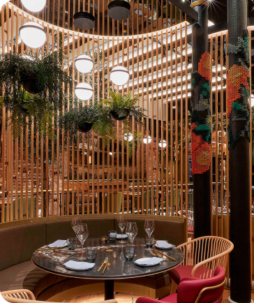 Descripción de la imagen