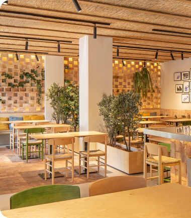 Descripción de la imagen