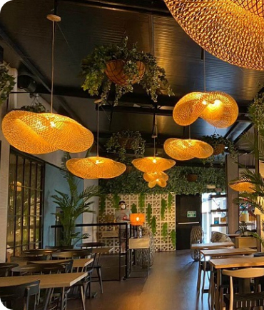 Descripción de la imagen