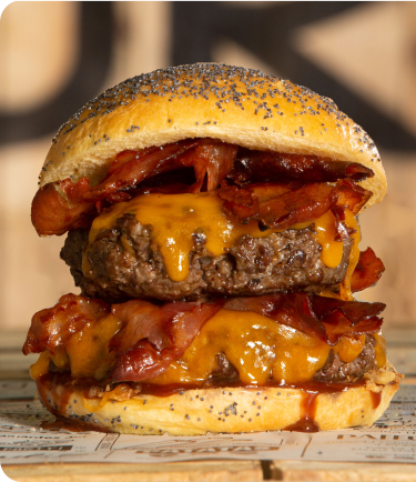 Descripción de la imagen